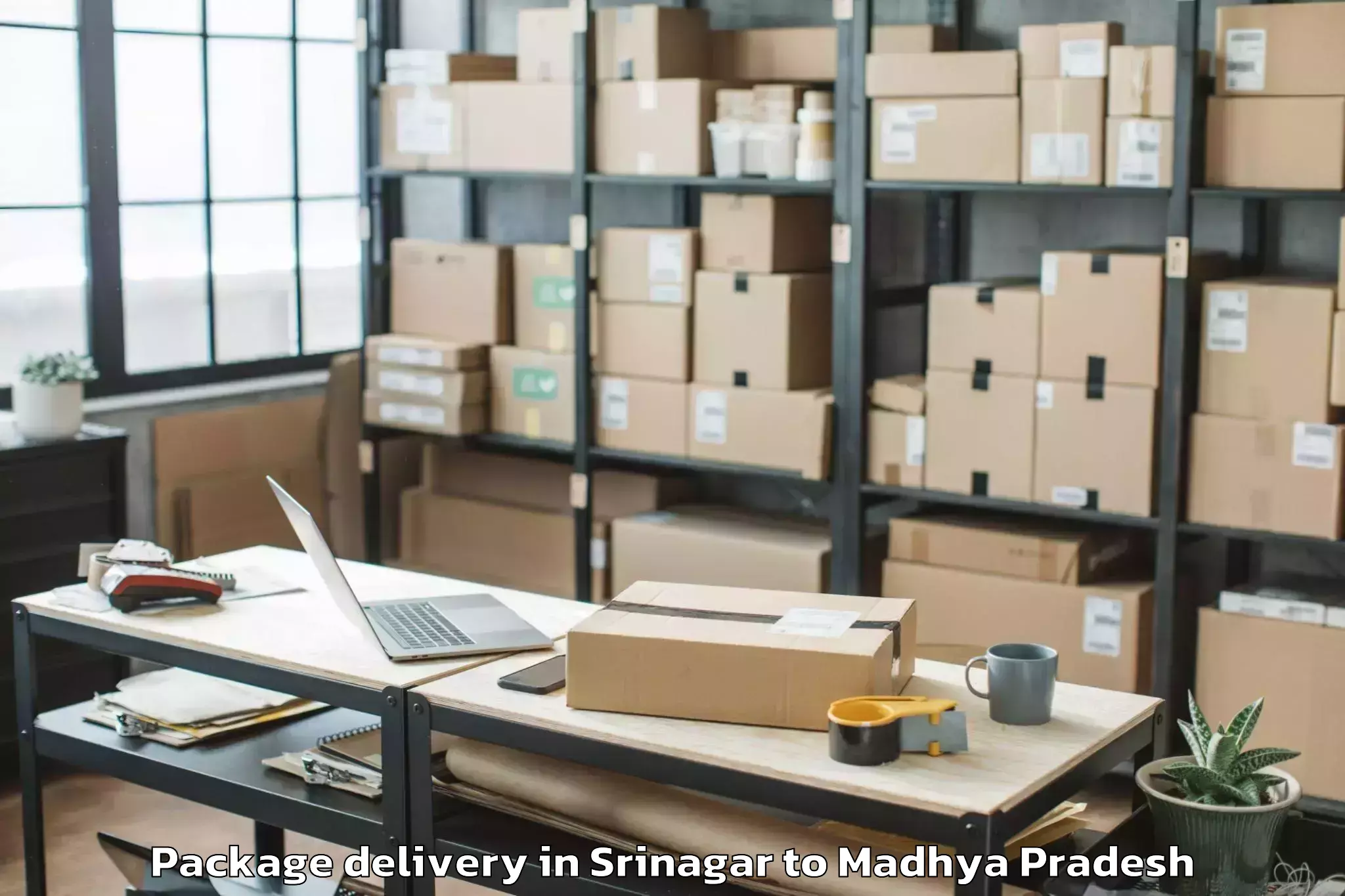 Affordable Srinagar to Malwanchal University Indore Package Delivery